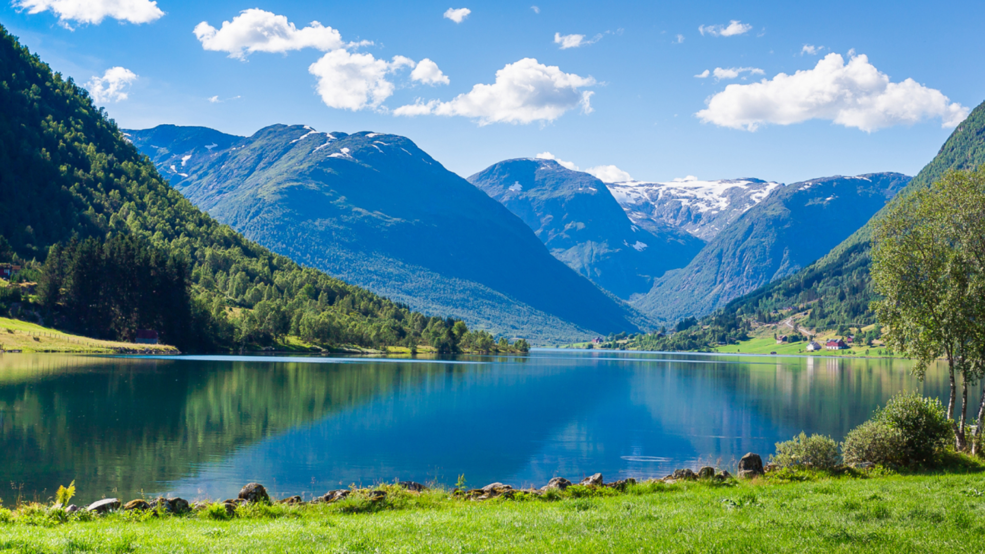 Et malerisk fjordlandskap med fjelldaler og et åpent vann i midten, omringet av frodig grønt gress og tett vegetasjon. Foto.
